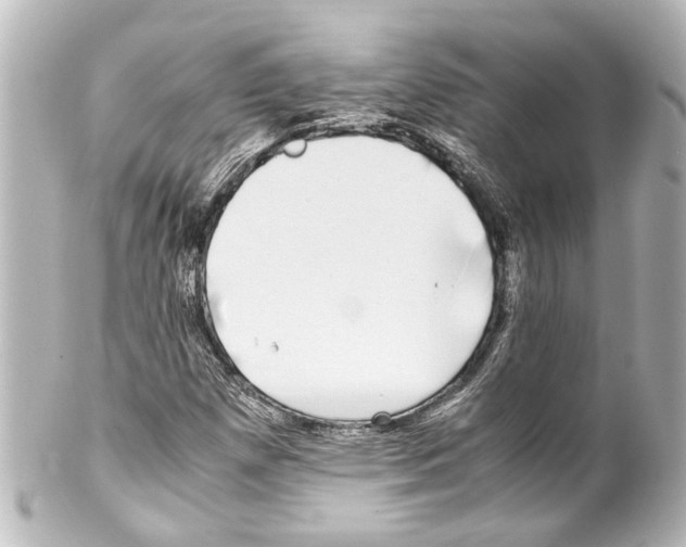 X0000100221257200806271719