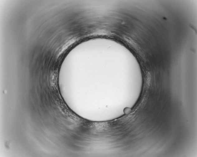 X0000100221258200806271719