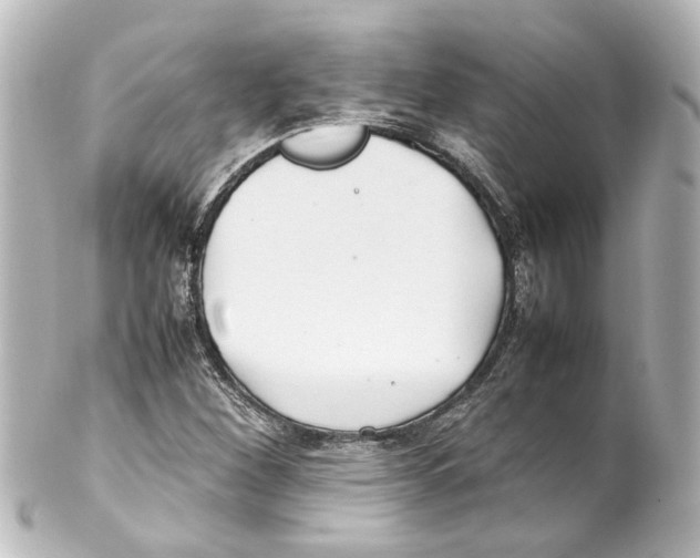 X0000100221260200806271719