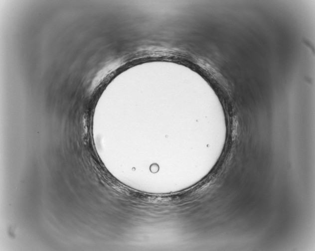 X0000100221261200806271719