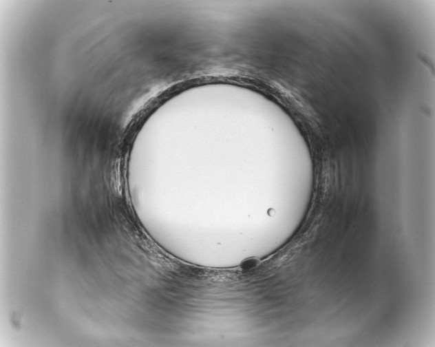 X0000100221262200806271719