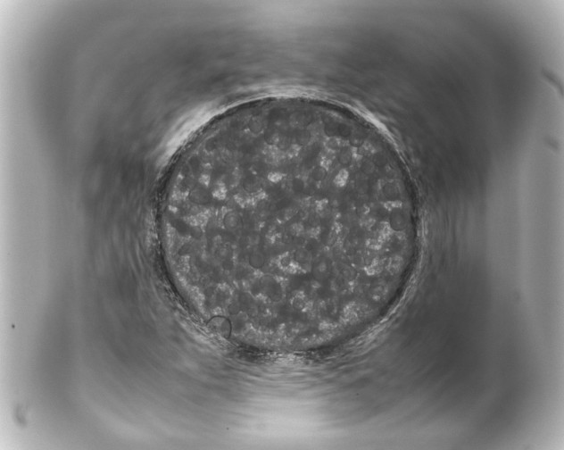 X0000100221263200806271719