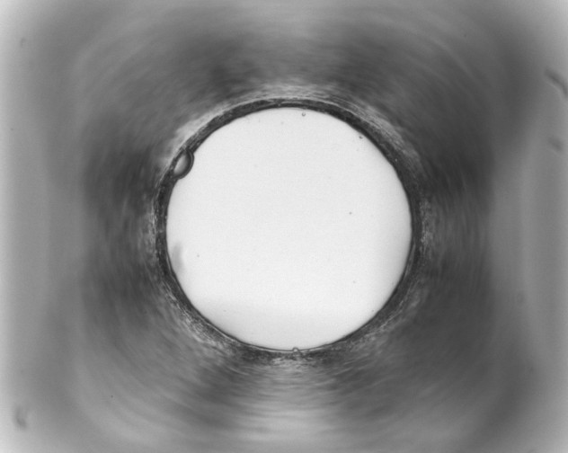 X0000100221264200806271719