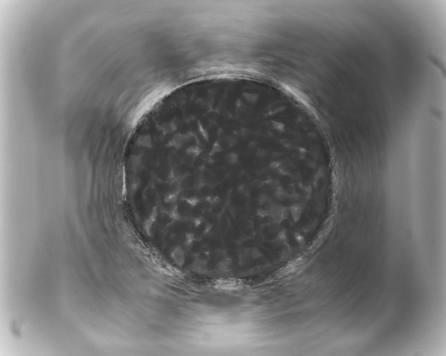 X0000100221267200806271719