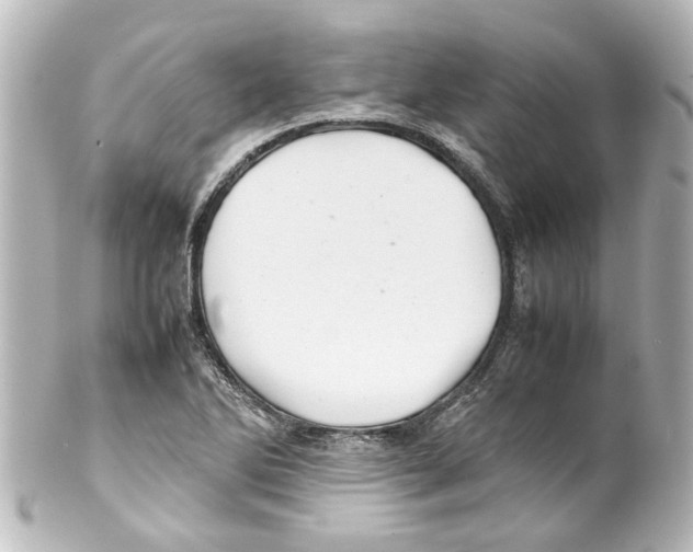 X0000100221270200806271719