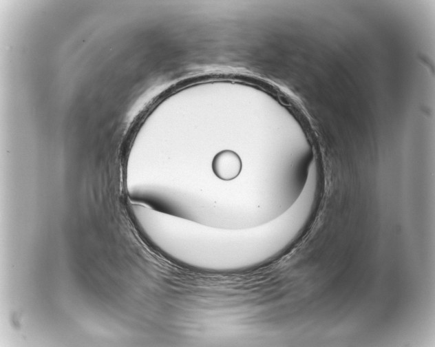 X0000100221271200806271719