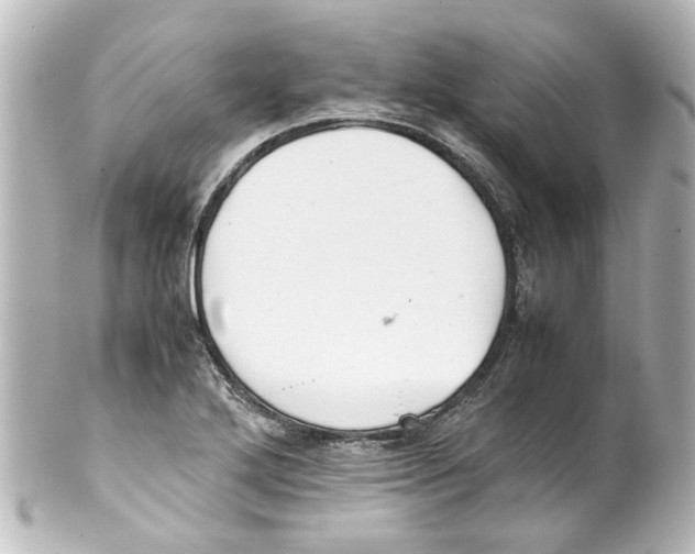 X0000100221272200806271719