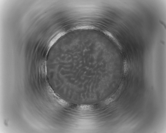 X0000100221274200806271719