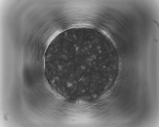 X0000100221275200806271719