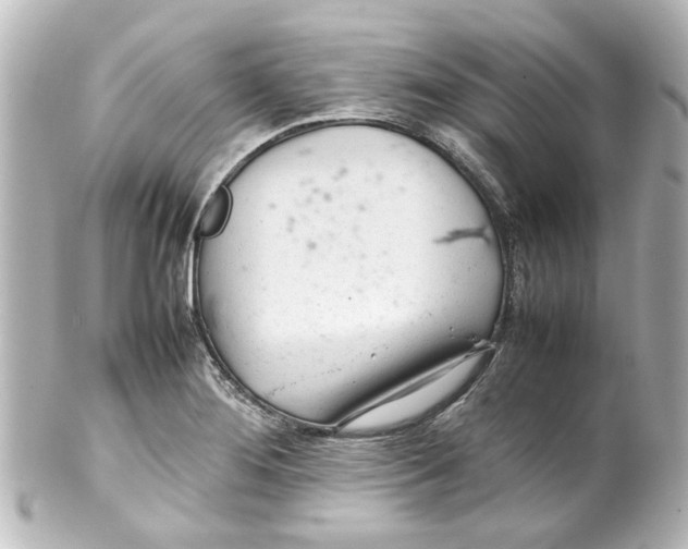 X0000100221276200806271719