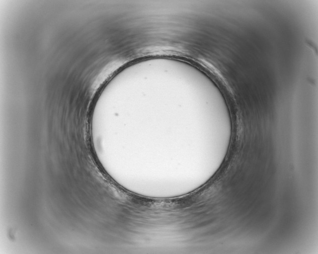 X0000100221277200806271719