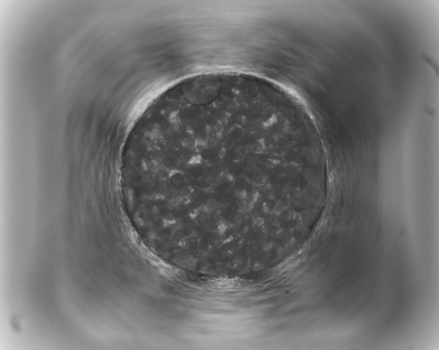 X0000100221279200806271719