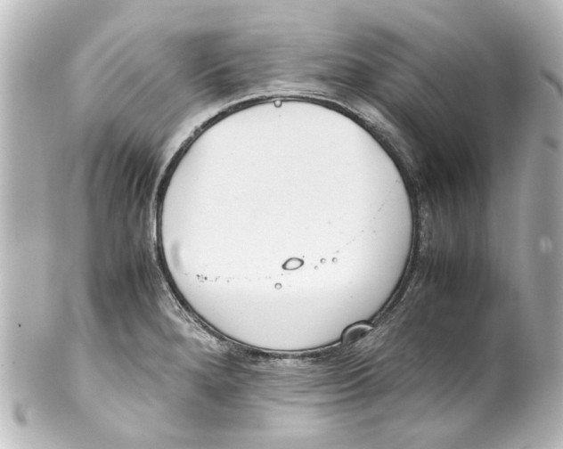 X0000100221280200806271719