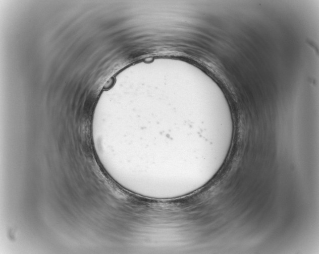 X0000100221281200806271719