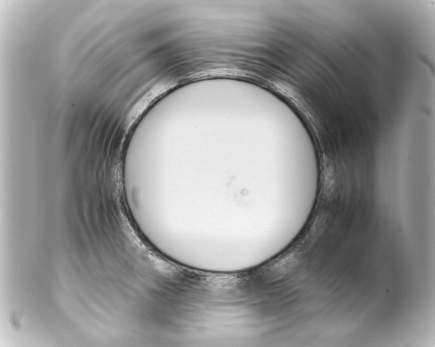 X0000100221282200806271718