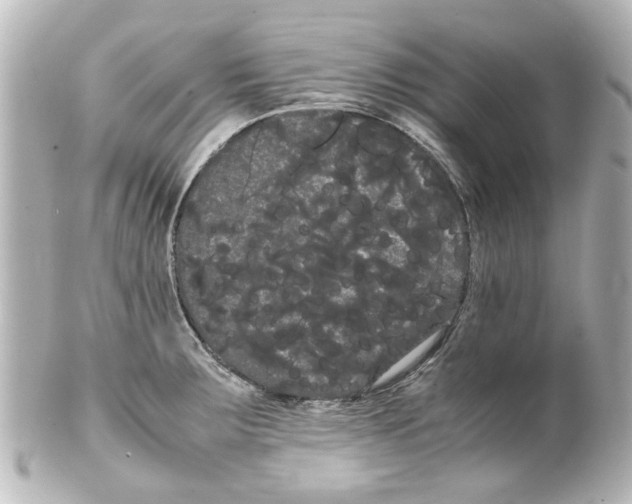 X0000100221283200806271718