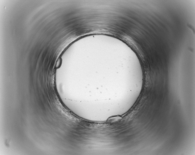 X0000100221284200806271718