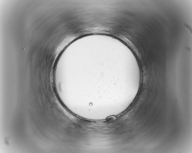 X0000100221285200806271718