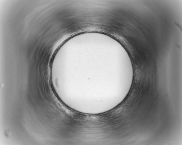 X0000100221286200806271718