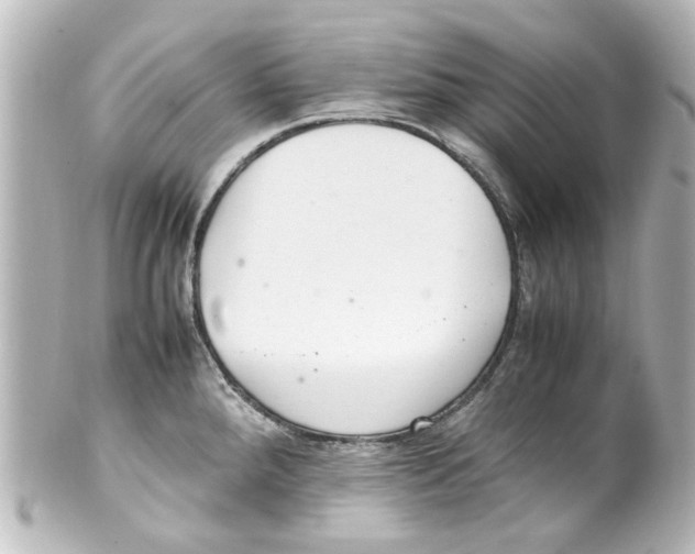 X0000100221288200806271718