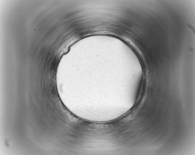 X0000100221289200806271718