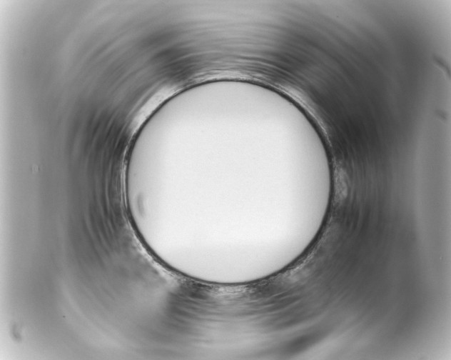 X0000100221290200806271718