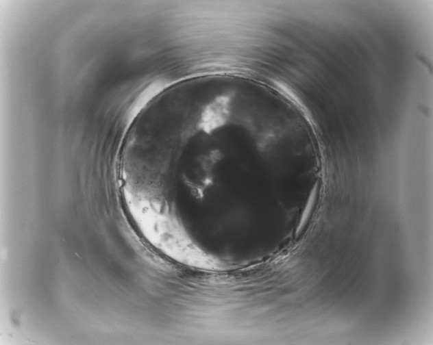 X0000100221291200806271718