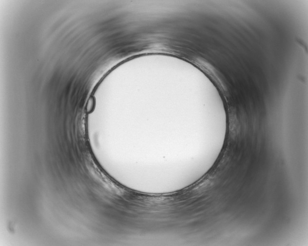 X0000100221292200806271718