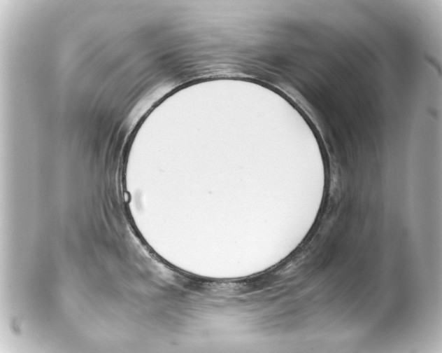 X0000100221293200806271718