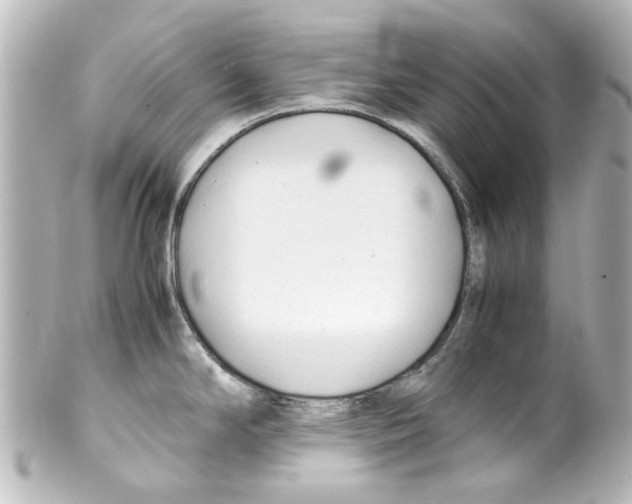 X0000100221294200806271718