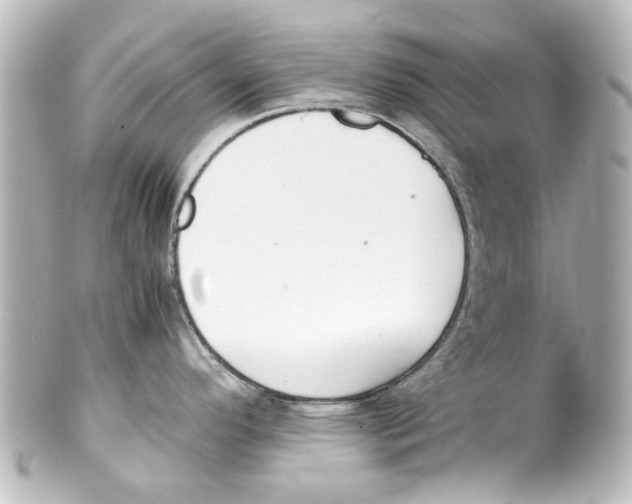 X0000100221296200806271718