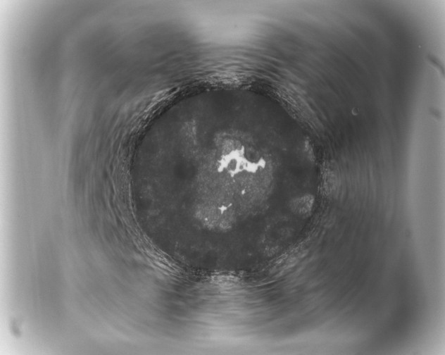 X0000100221297200806271718