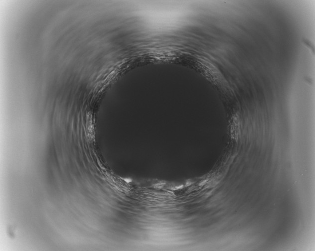 X0000100221298200806271718