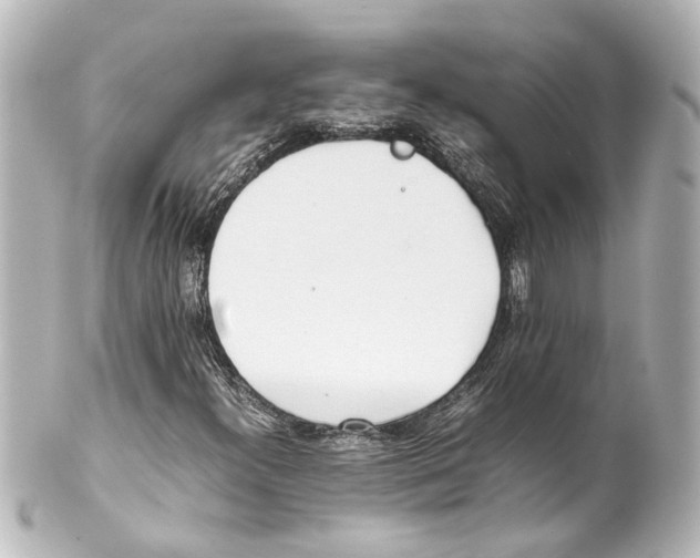 X0000100221300200806271718