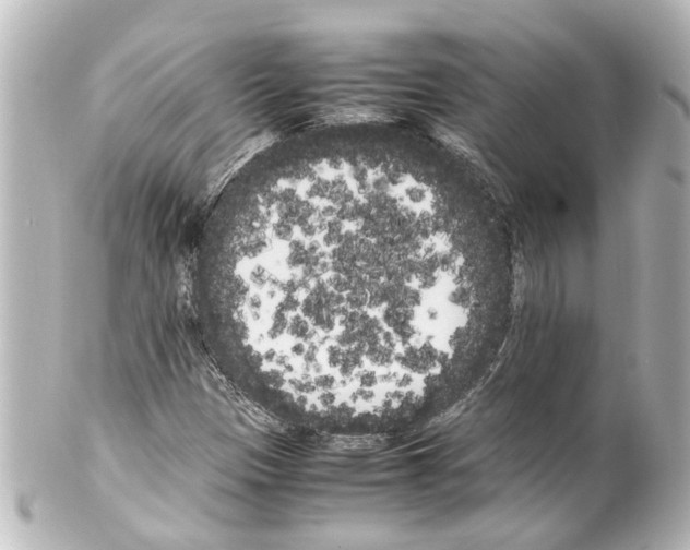 X0000100221305200806271718