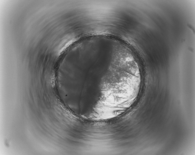 X0000100221306200806271718