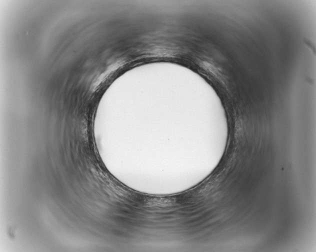 X0000100221307200806271718