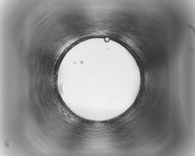 X0000100221308200806271718