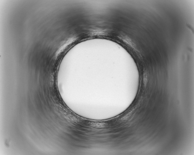 X0000100221309200806271718