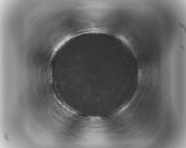 X0000100221310200806271718