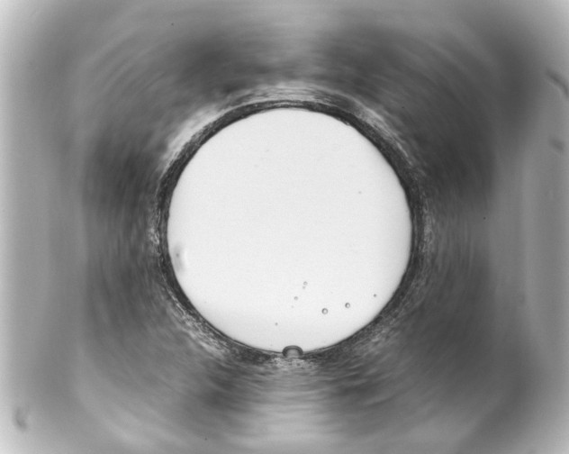 X0000100221312200806271718