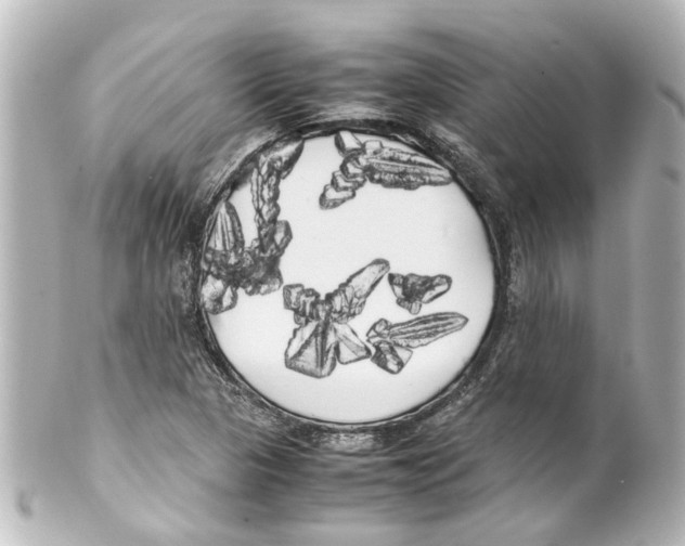 X0000100221313200806271718