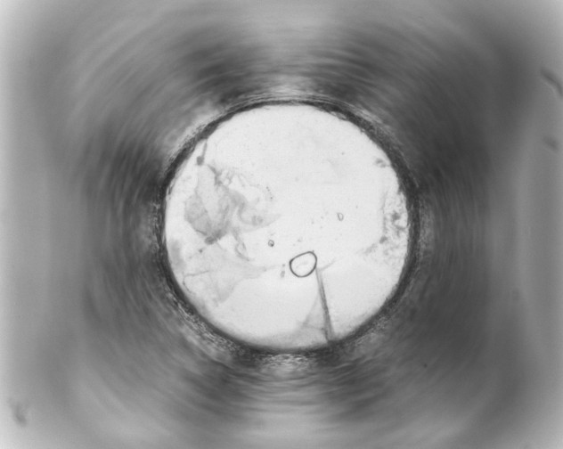 X0000100221314200806271718