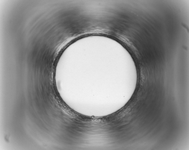 X0000100221316200806271718