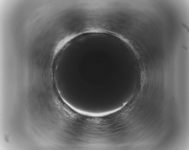 X0000100221319200806271718