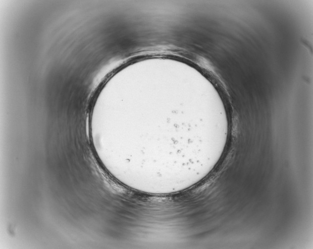 X0000100221320200806271718