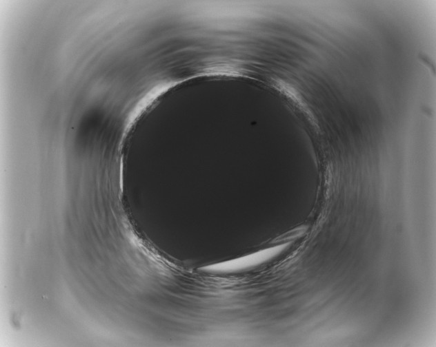 X0000100221323200806271718