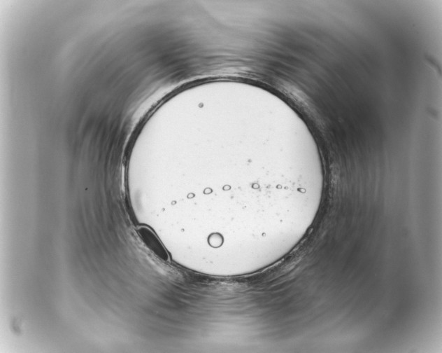 X0000100221324200806271718