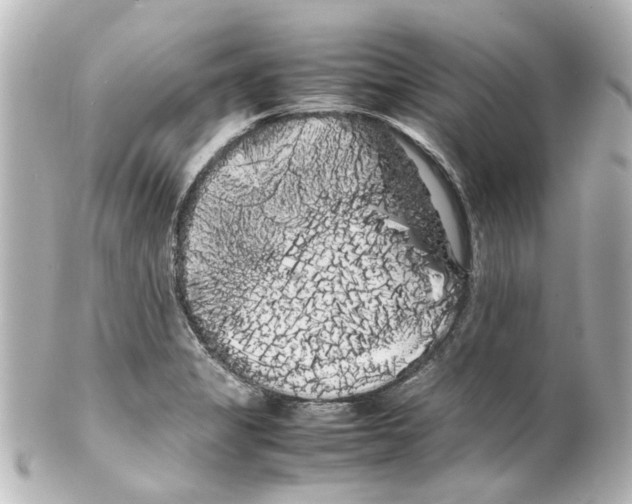 X0000100221325200806271718