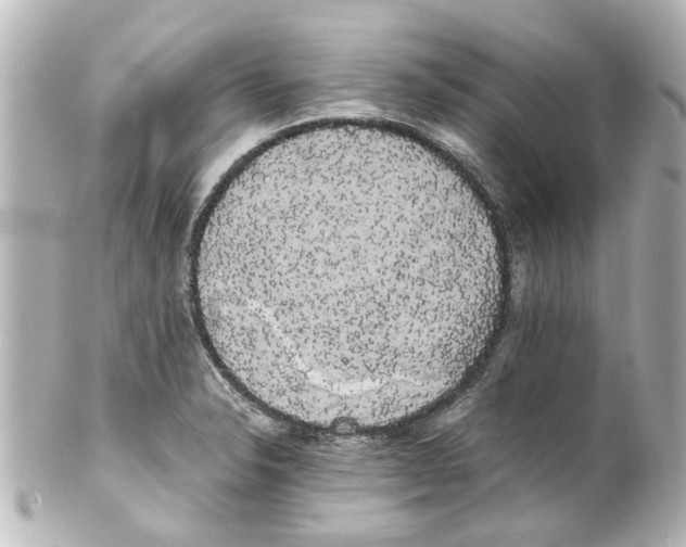 X0000100221326200806271718